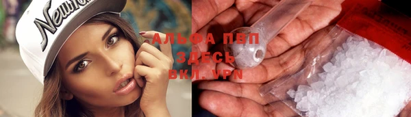 гидра Алексеевка